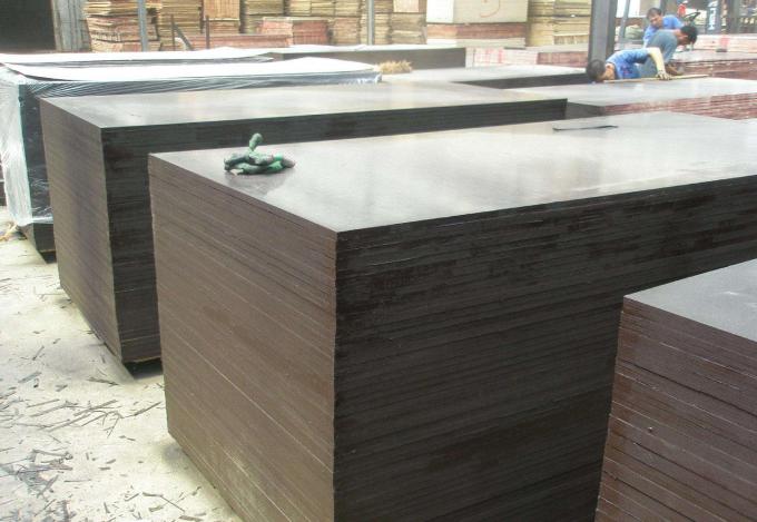 Moisture Proof Brown Plywood Wall Paneling / Film Faced Shuttering Ply 2-30mm Thickness