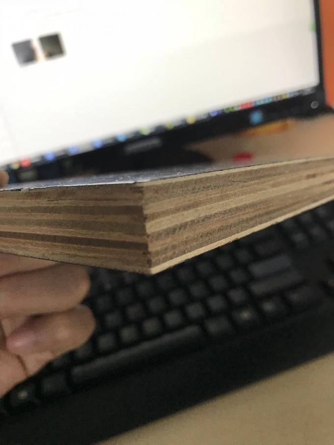 12mm Thick Anti - Slip Phenolic Faced Plywood With Double Time Hot Press