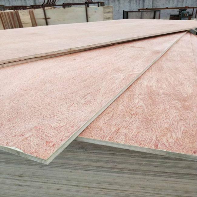 25mm Bintangor Commercial Grade Plywood E1 Glue Poplar