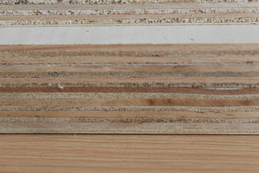 Double Sides Pressed Commercial Grade Plywood For Living Room Wall Paneling