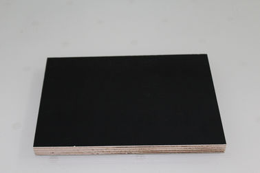 Laminated Melamine Faced Plywood Sheets / Large Construction Grade Plywood