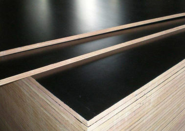 Poplar And Eucalyptus Core Film Faced Plywood For Office Building Construction