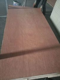 Artificial White Commercial Grade Plywood With Veneer Faced MR WBP 1220*2440 mm