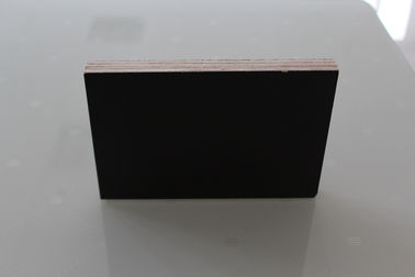Double Sided Prefinished Plywood Panels / Eco Friendly Film Faced Birch Plywood Sheets