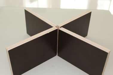 Double Sided Prefinished Plywood Panels / Eco Friendly Film Faced Birch Plywood Sheets