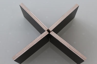 Double Sided Prefinished Plywood Panels / Eco Friendly Film Faced Birch Plywood Sheets