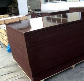 Moisture Proof Brown Plywood Wall Paneling / Film Faced Shuttering Ply 2-30mm Thickness