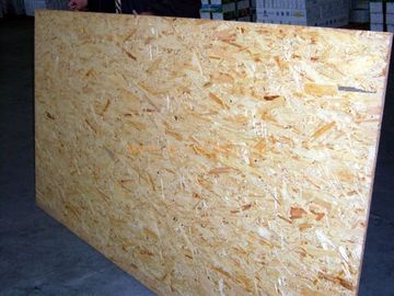 No Seasonal Effect Oriented Strand Board Plywood With Eucalyptus Core Material