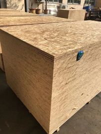 No Seasonal Effect Oriented Strand Board Plywood With Eucalyptus Core Material