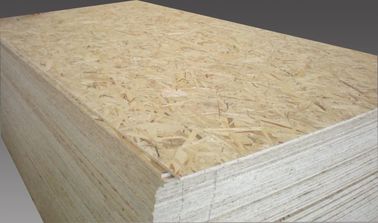 Pre Finished E0 Glue Exterior OSB Board / Building Wall Panel OSB Wood Sheets