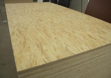 Pre Finished E0 Glue Exterior OSB Board / Building Wall Panel OSB Wood Sheets