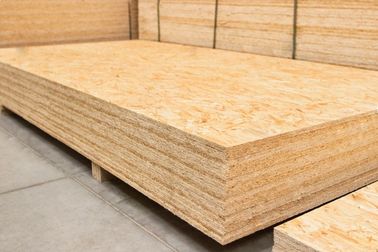 Environmental Protection Oriented Strand Board OSB For Roofing 6-25mm Thickness