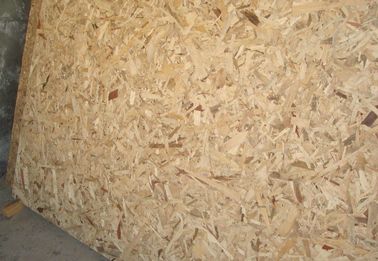 Minimum Twisting Wood 15mm OSB Board / OSB Roofing Sheets Outdoor Application
