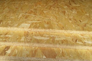 High Density OSB Oriented Strand Board For House Decoration Items 700-750kg/M3