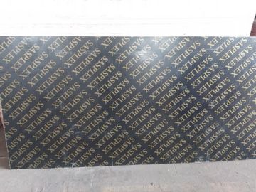 Paulownia MR Film Faced Shuttering Plywood , Black Film Plywood For Formwork