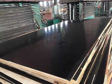 Wood Combine Core Maxi Film Plywood , Laminated Phenolic Film Plywood E2 Grade