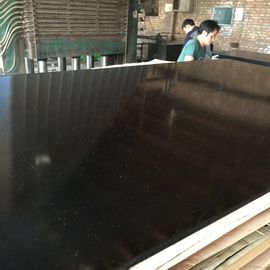 Wood Combine Core Maxi Film Plywood , Laminated Phenolic Film Plywood E2 Grade