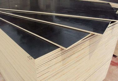 Hardwood Construction External Ply Sheets / First Class Grade Film Faced Marine Plywood