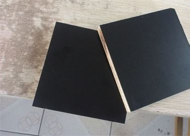 Concrete Formwork Film Faced Marine Plywood , WBP Glue Film Coated Plywood Panel