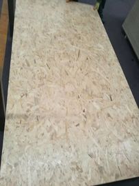 Finished Marine External OSB Board Wall , Construction Building OSB Siding Panels