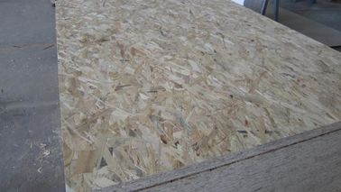 Moisture Proof Oriented Strand Board OSB With Sanding Finished Surface 1220*2440