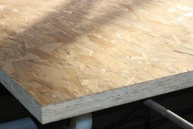 High Density MR OSB Board For Flat Roof , Commercial Grade OSB Timber Sheets