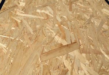 Eco Friendly Pine Core OSB Timber Sheets / Furniture Moisture Resistant OSB Board