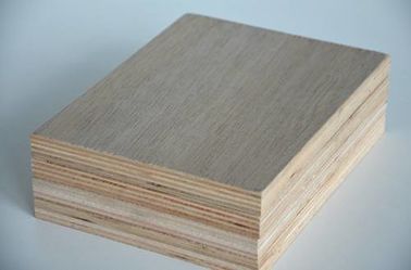 Birch Hardwood Faced Plywood , Environmental Protection Staining Marine Plywood