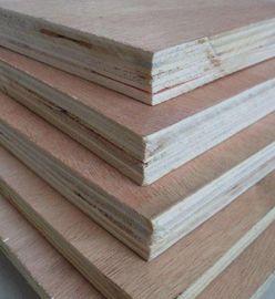 Birch Hardwood Faced Plywood , Environmental Protection Staining Marine Plywood