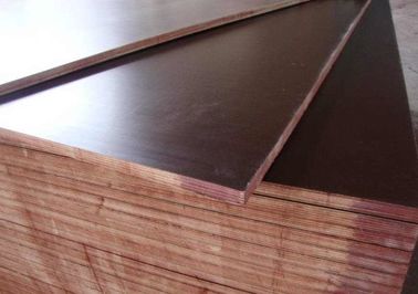 Moisture Proof Brown Plywood Wall Paneling / Film Faced Shuttering Ply 2-30mm Thickness