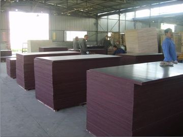 Moisture Proof Brown Plywood Wall Paneling / Film Faced Shuttering Ply 2-30mm Thickness