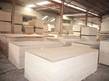 Melamine Glue Eucalyptus Core Plywood / Furniture Grade Plywood 3-30mm Thickness