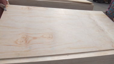 Natural Color Pine Veneer Plywood , Furniture grade 4 By 8 Plywood Sheets