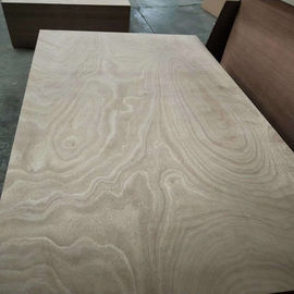 Waterproof Poplar Core Wood Veneer Plywood 1220*2440mm Standard Size