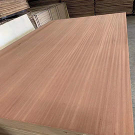 Waterproof Poplar Core Wood Veneer Plywood 1220*2440mm Standard Size