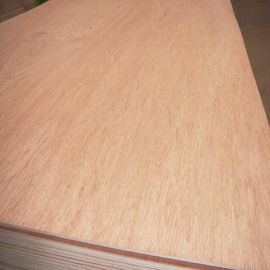 25mm Bintangor Commercial Grade Plywood E1 Glue Poplar Core For Exterior Decoration