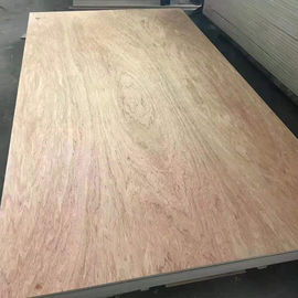 Natural Wood Veneer Laminated Ply Board Marine Furniture Grade Waterproof Plywood