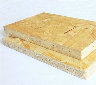 China Pre Finished E0 Glue Exterior OSB Board / Building Wall Panel OSB Wood Sheets factory